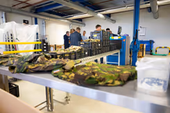 Oude Defensie-uniformen liggen in loods op tafels en in kratten uitgestald.