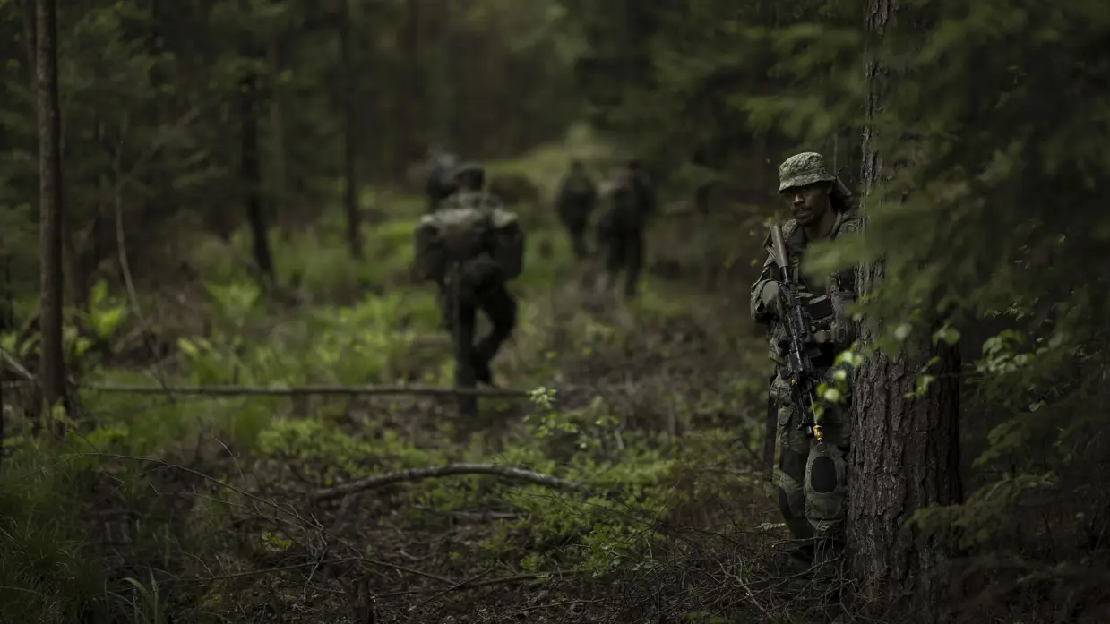Een groep militairen loopt door het bos.