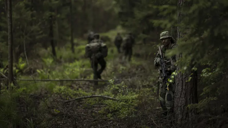 Een groep militairen loopt door het bos.