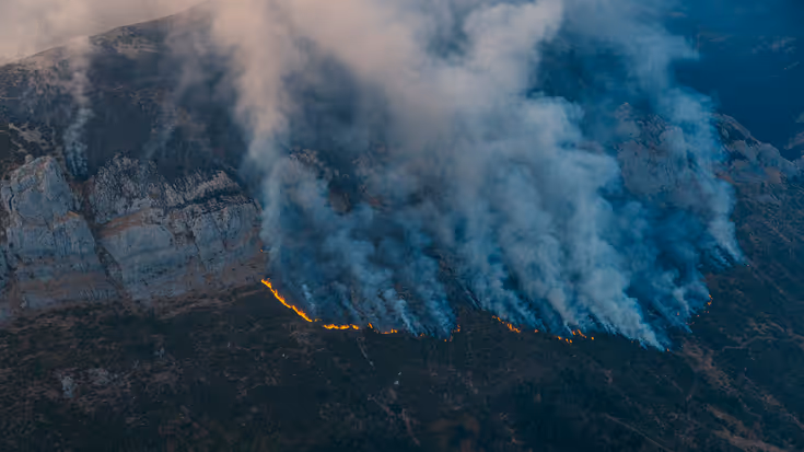 Bosbrand vanuit de lucht gezien.