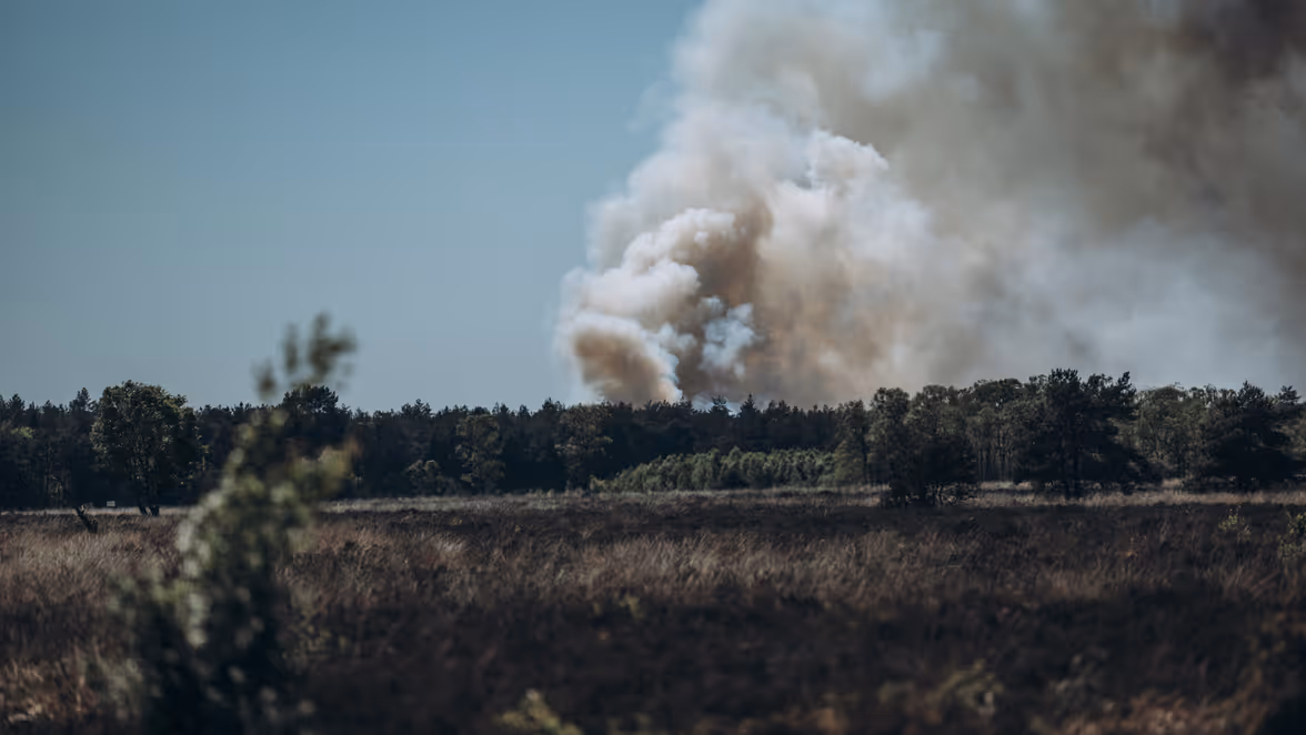 Dikke rookwolken stijgen op uit een bos. 