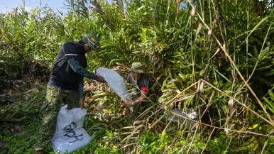 Op de 4 foto’s een Colombiaanse instructeur in een boom, Colombiaanse instructeurs die zogenaamd drugs verstoppen, een Colombiaanse instructeur die een drugslab optuigt en mariniers met een zogenaamd neergeschoten kartelbaas.