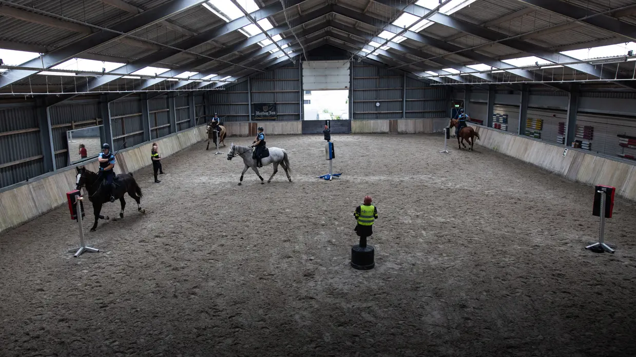 Overzichtsfoto van de paardijrijbak met diverse paarden, ruiters en staanders. 