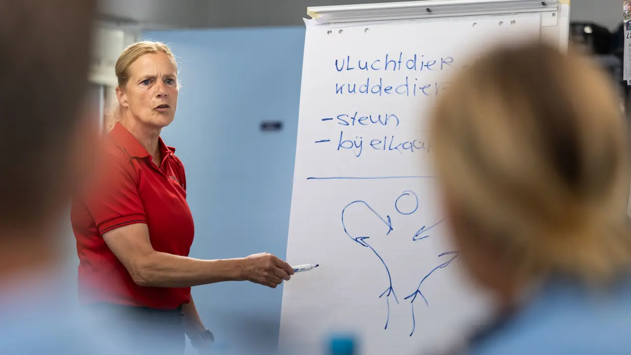 Een vrouw staat voor een whiteboard en wijst met een stift naar de tekening die ze maakte op het witte blad. 