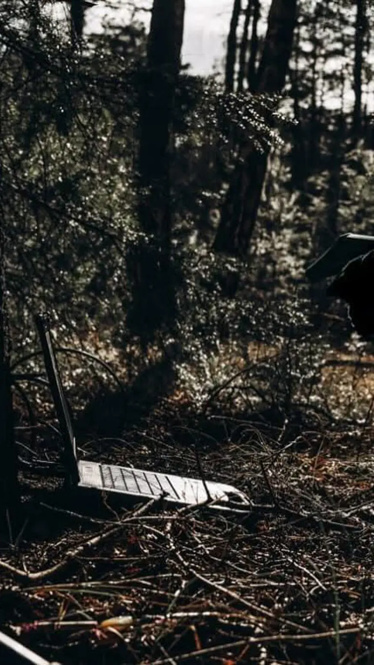 Een militair, waarvan enkel een silhouet te zien is, buigt zich over een laptop in het bos.