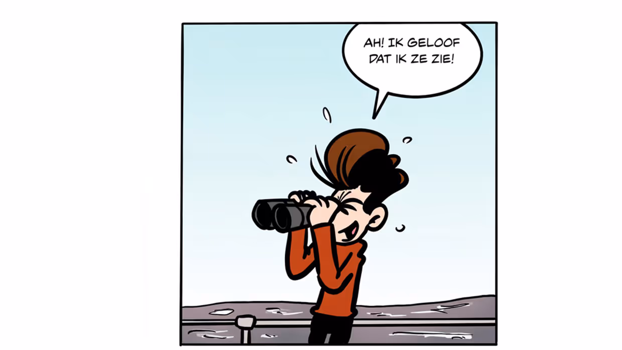 strip roy