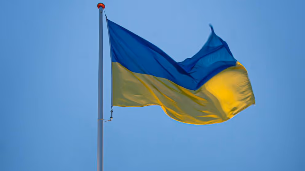 Vlag van Oekraine