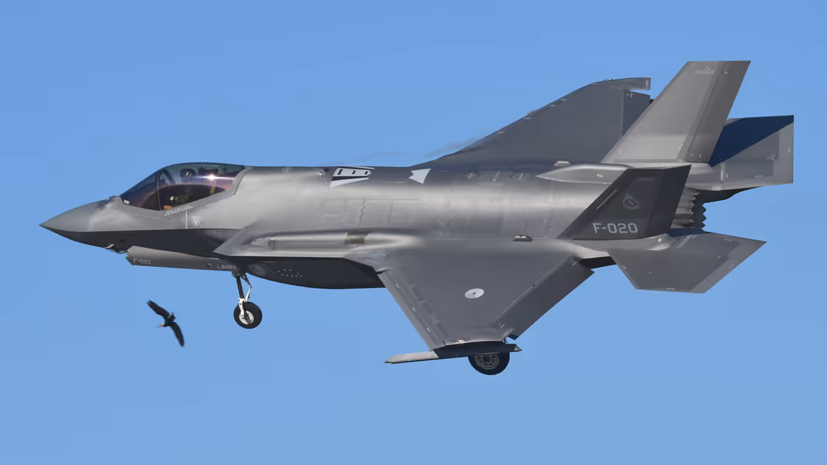 Een vogel wijkt uit voor een landende F-35.