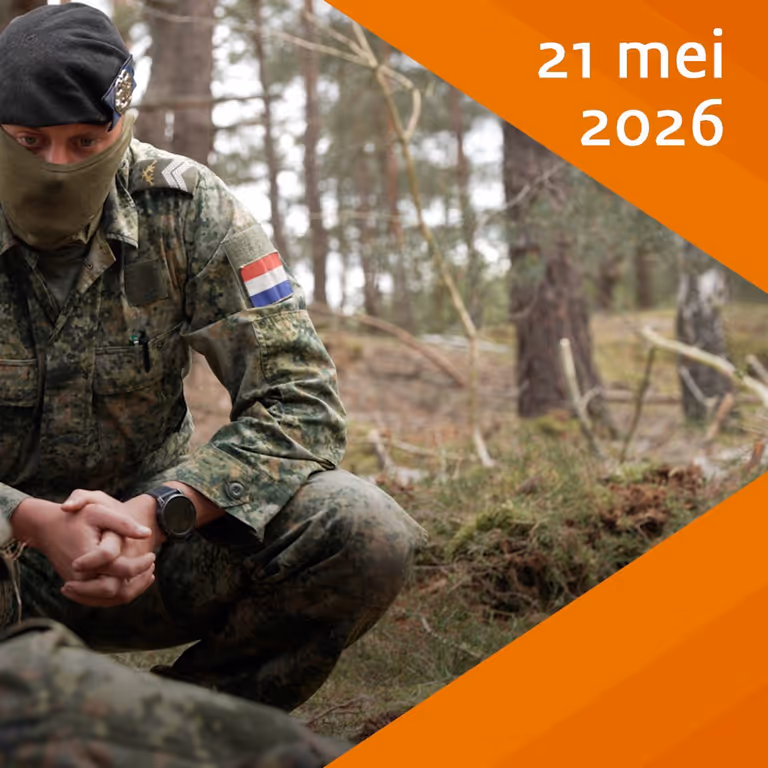 Afbeelding aflevering.