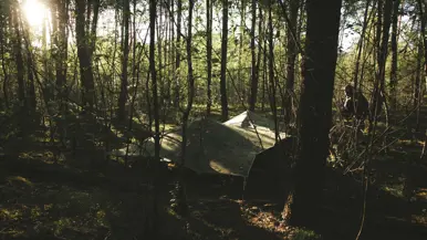 Een gecamoufleerde schuilpositie ligt verscholen tussen de bomen in een bosgebied.